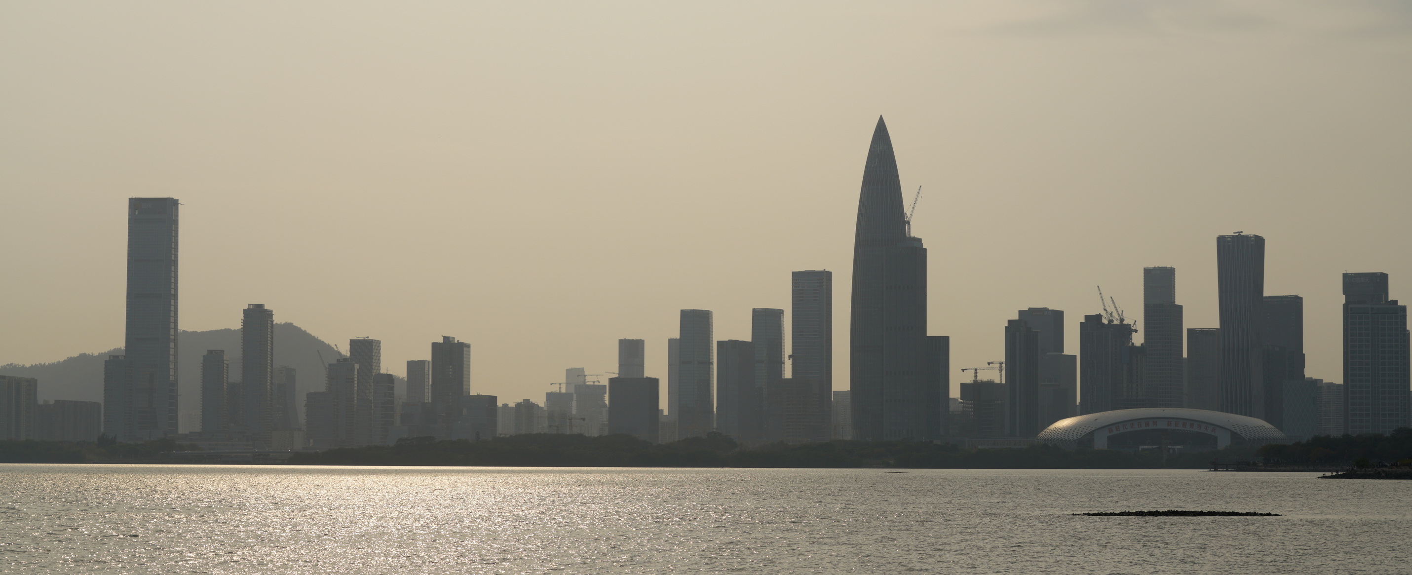 image-20240203165700821